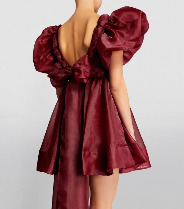 AJE Gretta Tulle Burgundy mini dress