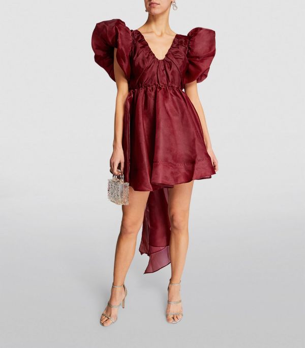 AJE Gretta Tulle Burgundy mini dress